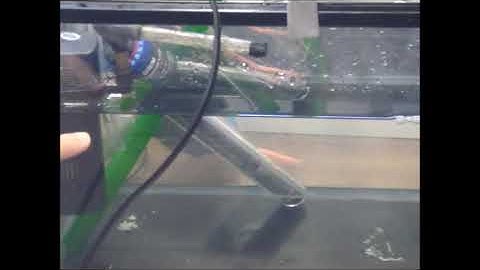 154 1 Demostración acuario automatizado con arduinomp4