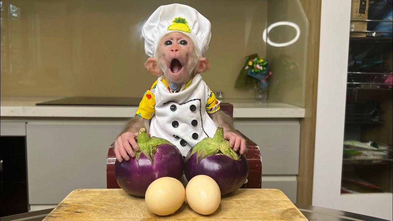 Monkey Bibi helps dad cook steamed eggplant YouTube