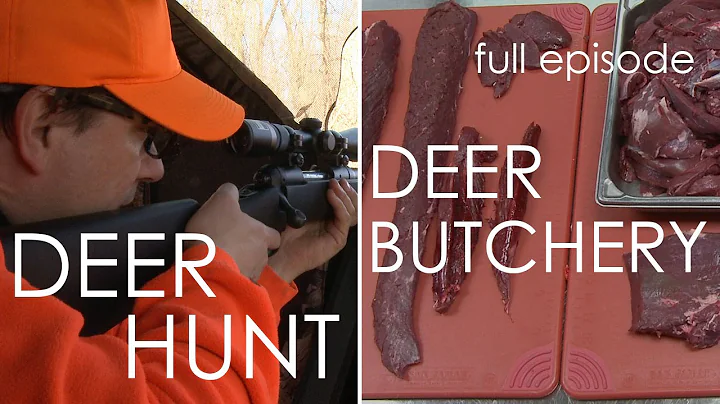 Wisconsin Foodie - Deer Hunt | Deer Butchery