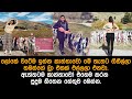නවසිලන්තේ තියෙන බ්රා වැට. bradrone newzeeland