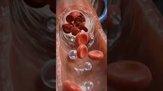 How Injections Actually Work Inside Your Body #shorts