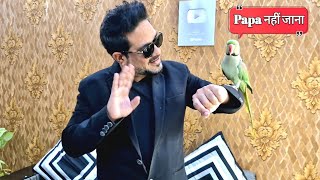 Parrot Pablo ka Papa ke Liye Love ❤️ 