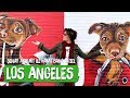 Los Angeles’ta Yaşanır Mı? Şenay Akkurt’la Hayat Bana Güzel -  (travel vlog  downtown los angeles)