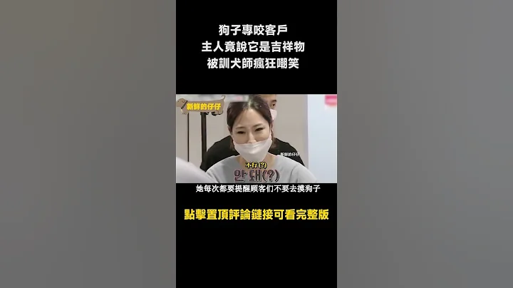 理髮店的狗子專咬客戶，主人居然還好意思說它是吉祥物，被訓犬師瘋狂嘲笑！ - 天天要聞