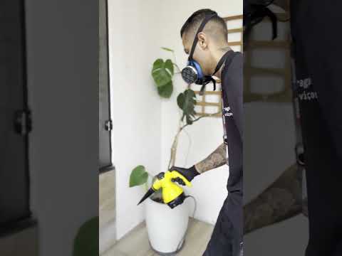 Assistir vídeo