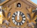 Schatz Cuckoo Clock from the 1950s