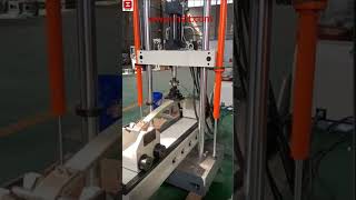 Leaf spring fatigue test