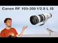 Neues Traumobjektiv für Tierfotografen? Canon RF 100-300mm f/2.8 L IS vorgestellt