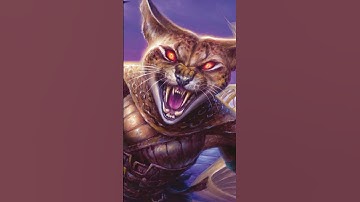 You Might Be a Tabaxi #dnd #tabaxi #dndcharacter