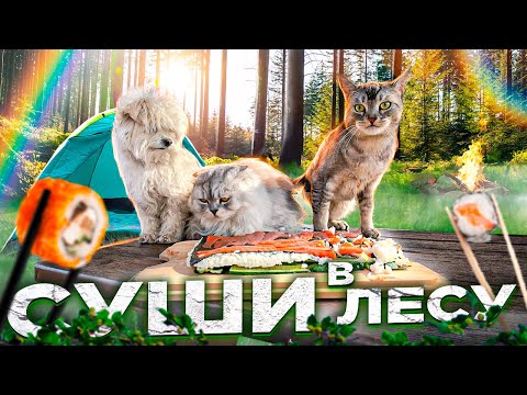ВЫЖИВАЕМ И ГОТОВИМ СУШИ-ТОРТ В ЛЕСУ С КОТАМИ | зверолагерь 3 серия