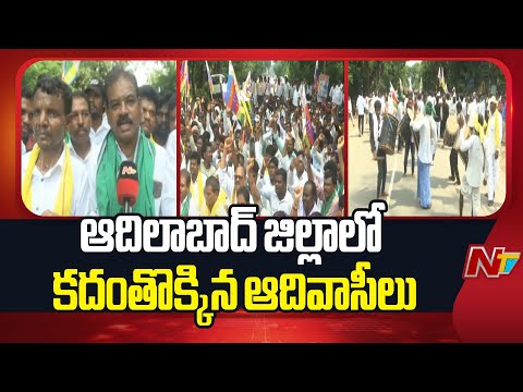 Adivasis Protests Against Lambadis in ST Category | Adilabad | NTV Telugu - NTVTELUGU
