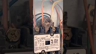 He Didn’t Quite Make It #rat #electrical #HVAC #wildlife #pestcontrol