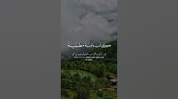 وضرب الله مثلا قريه #قران_كريم #اسلام_صبحي #سورة_النحل