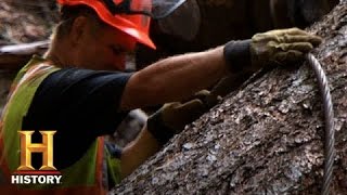Ax Men Triack Rescues A Pricey Log S8, E10 History