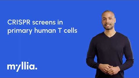 CRISPR screens in primary human T cells