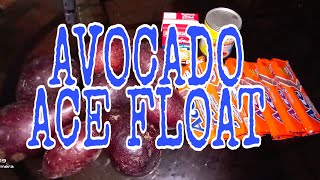 Avocado Ace Float By Reycil Twotown