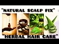 “Best Natural Ingredients for a Healthy Scalp (That Actually Work)”