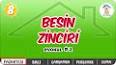 Besin Zincirleri ve Besin Ağları ile ilgili video