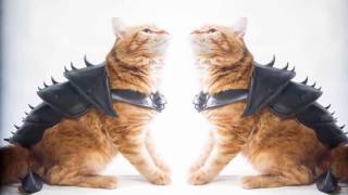 Доспехи для Кота! Хозяин Котика Молодец!?! Ставь Лайк ему!!!! 3D принтер в работе! Доспехи для Кота! Хозяин Котика Молодец!?! Ставь Лайк ему!!!! 3D принтер в работе!