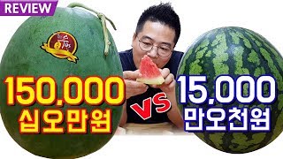 150,000원 수박 VS 15,000원 수박 전격비교. 맛상무 리뷰 무등산수박