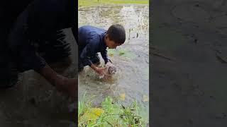 Amazing New Fishing Trap with Bottles #fishing #fish #shorts
