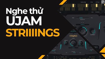 Nghe Thử Bộ Tiếng Orchestral STRIIIING (UJAM) | Không Nói Gì | Plugin.com.vn