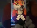You have 2 kidneys #furry #cosplay #fursuit #furries #fursuit 