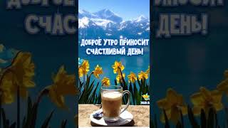 Доброе утро!✨☕✨Хорошего дня прекрасного настроения!😊