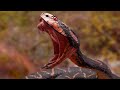 The Serpent's Venom Will Not Harm Us!!