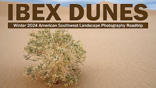 IBEX DUNES Landscape Photography - Death Valley National Park, California