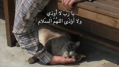 القارئ سيف الحق بصري سورة الانفال 