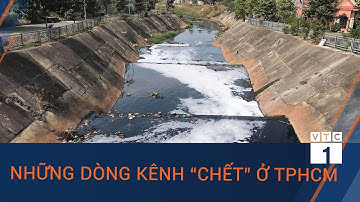 Những dòng kênh “chết” ở TPHCM | VTC1