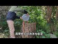户外堆肥 嫌热堆肥麻烦的，可以尝试下户外堆肥，后期不用怎么维护，你照样可以收获不错的堆肥成品#自制堆肥 #三农 #堆肥 #自制营养土 #抖音新农人