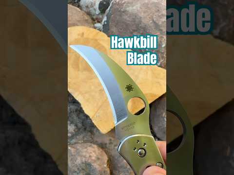 Spyderco September: Day 1️⃣3️⃣ - Harpy  