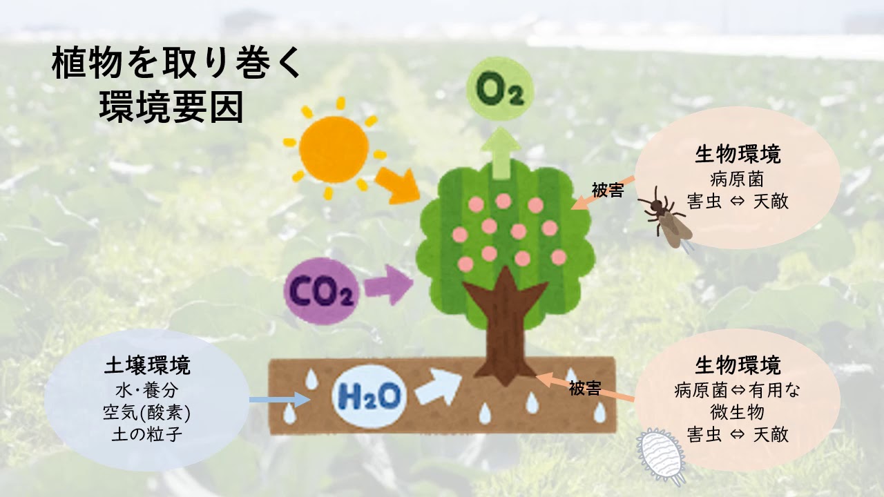 植物を育てる技術を知ろう 学生作成コンテンツ Youtube