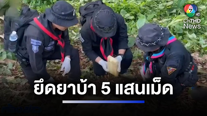 ทหารพรานปะทะขบวนการค้ายาเสพติด ยึดยาบ้า 5 แสนเม็ด | ห้องข่าวภาคเที่ยง