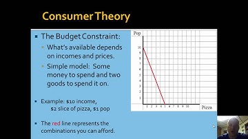 NEIU ECON Lecture Series 21 (Part 1): Consumer Choice