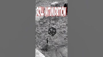🤣🤣 When You Roll 20 On Intimidation D&D 🤣🤣