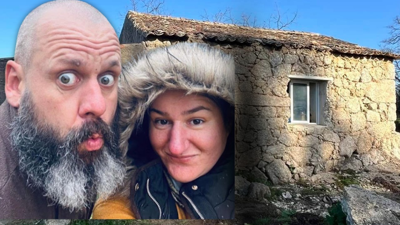 WE HAD A COMFORTABLE LIFE | And We Chose This Instead