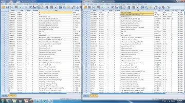 Copy and Paste in SPSS