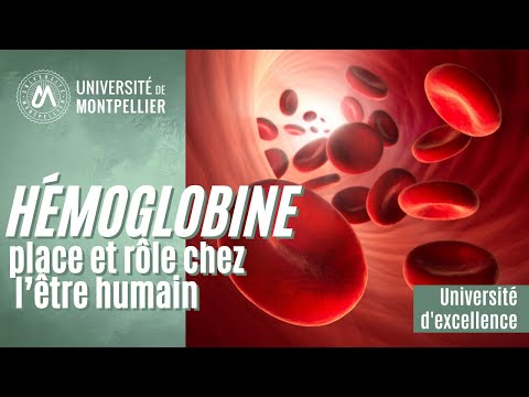 Vidéo: L'hémoglobine est-elle un acide faible ?