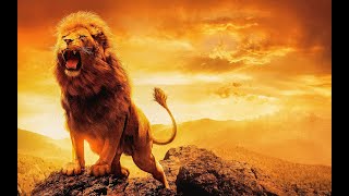 Lion Sleeps Tonight. A Lion King Theme Song Remix