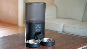 Papifeed Automatic Cat Feeder for 2 Cats [Review]