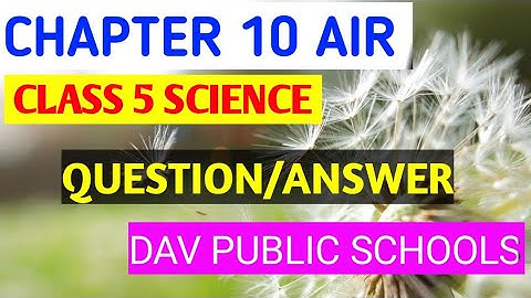 CHAPTER 10 AIR QUESTION AND ANSWER CLASS 5 SCIENCE