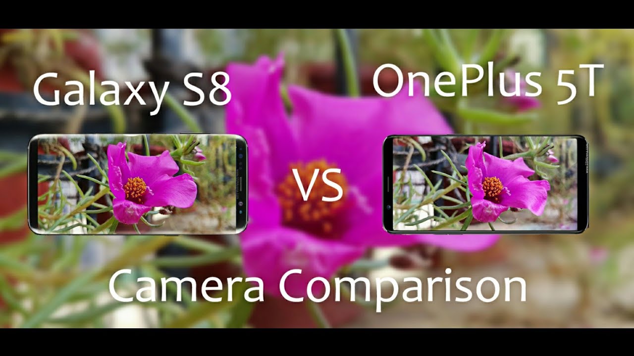 Oneplus 5t vs galaxy s8 camera