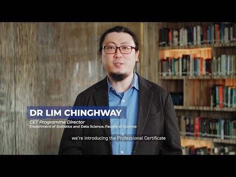 Professional Certificate in