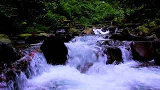 Mountain stream flow creating calming rhythm supporting restful nighttime sleep