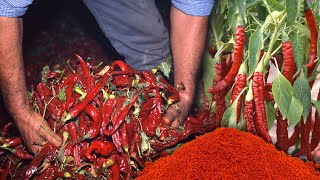 Artisan paprika. Growing, smoking and making this natural culinary coloring | Documentary film