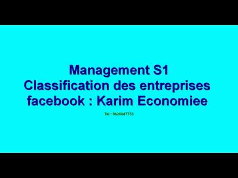 Management S1 : Classification des Entreprises