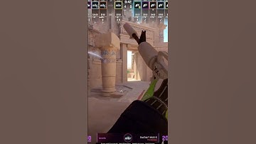 PRO ANUBIS FLASHES TO TAKE CONNECTOR ON CS2